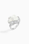Slant Pave Zircon Shell Ring